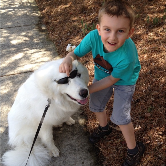 Meet your Posher, Molly - Picture 7 of 8